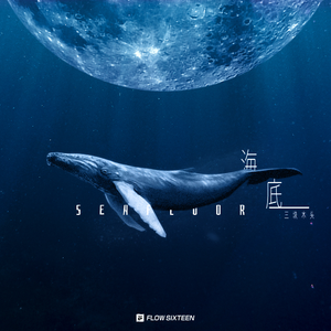 欧美老太一级a片
