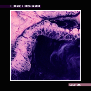 欧美老太一级a片
